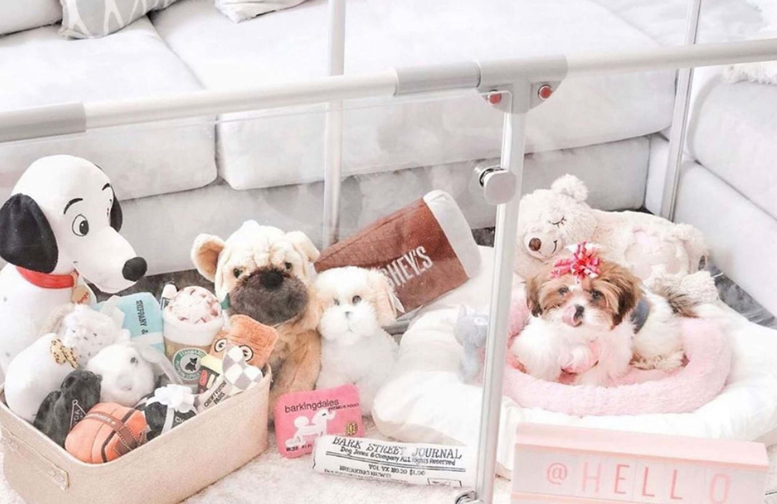 69 cm (27") Tall SMALL Lucidium Pet Pen