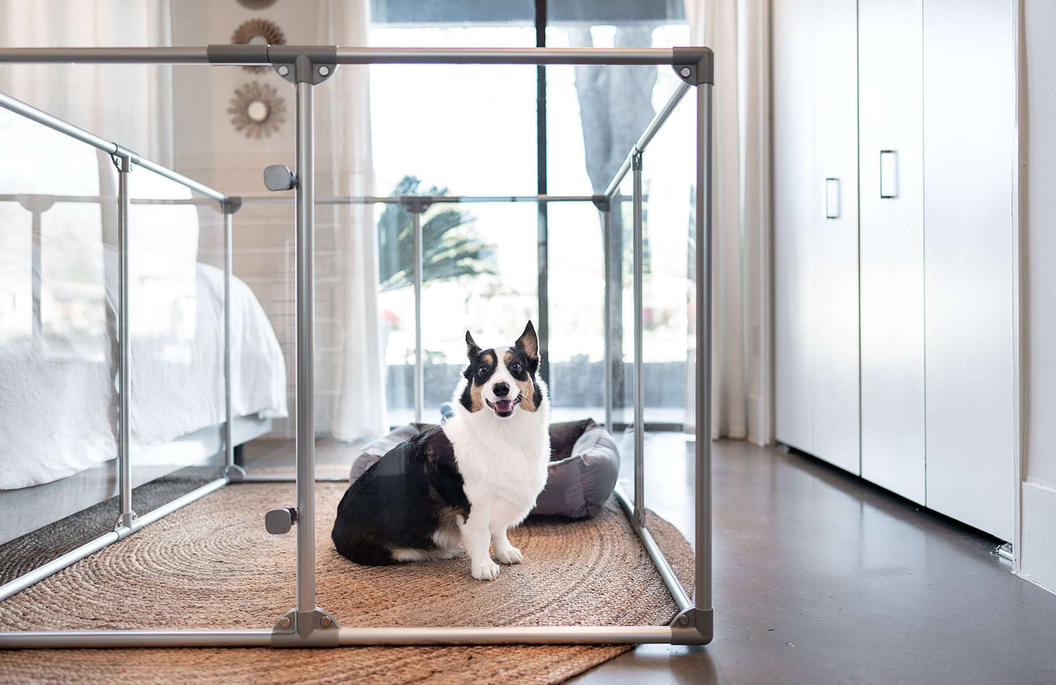 91 cm (36") Tall Medium Lucidium Pet Pen