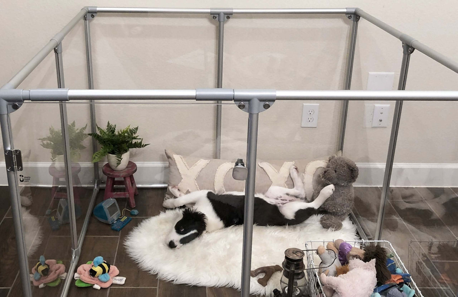 91 cm (36") Tall Medium Lucidium Pet Pen