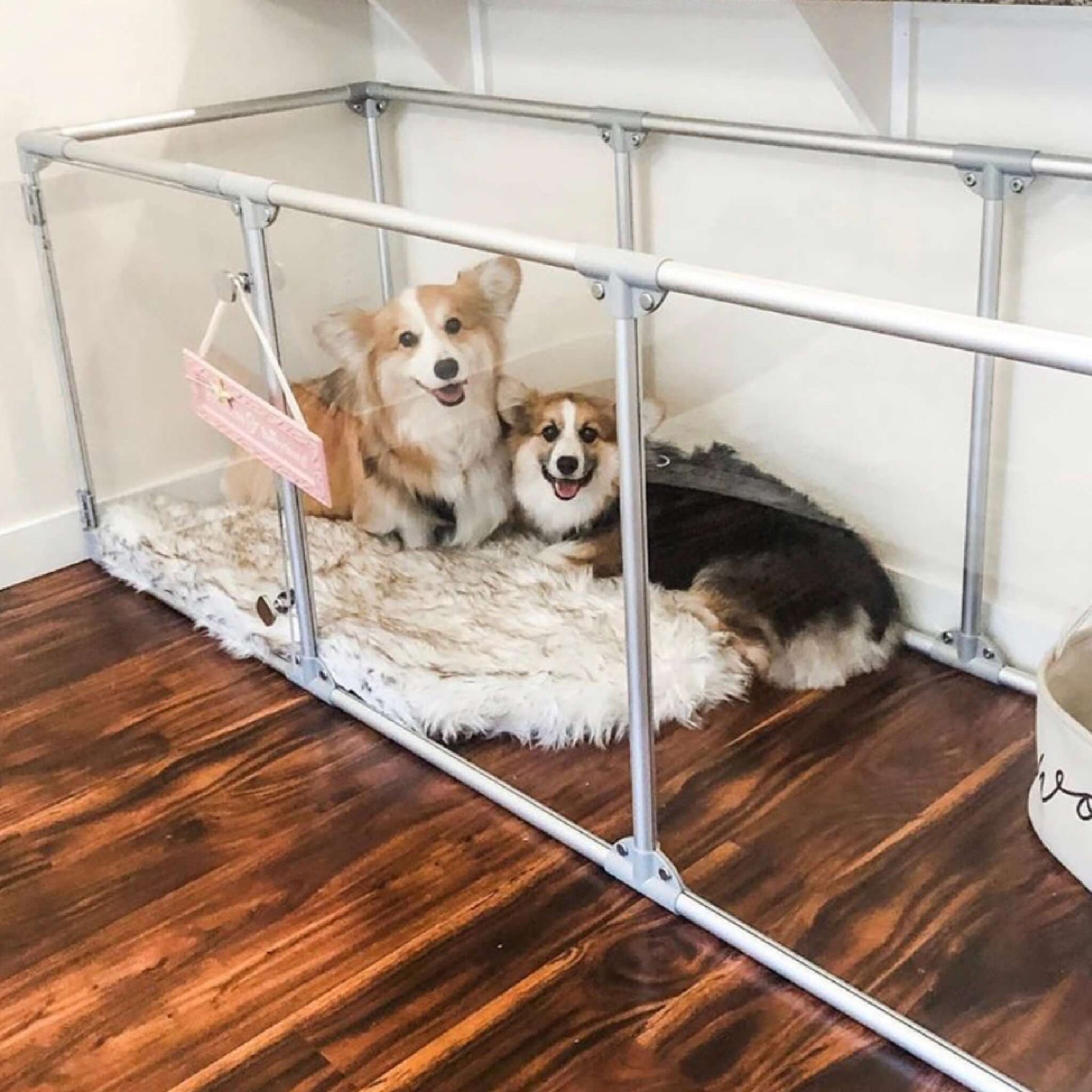 two Corgi dogs sitting inside 27" medium Lucidium pet pen in silver