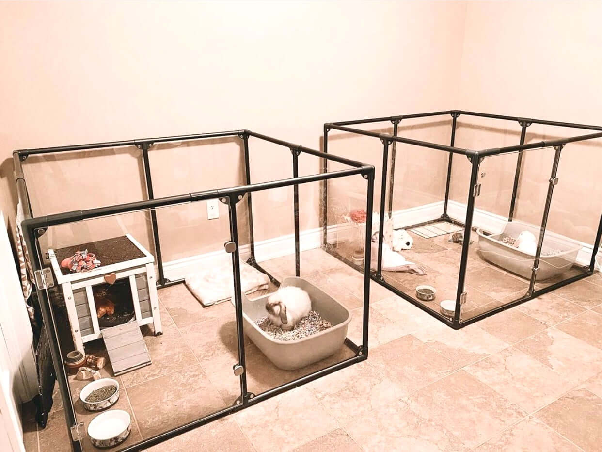 Two 36 inch height medium Lucidium pens in gunmetal color with rabbits and bunny accessories.