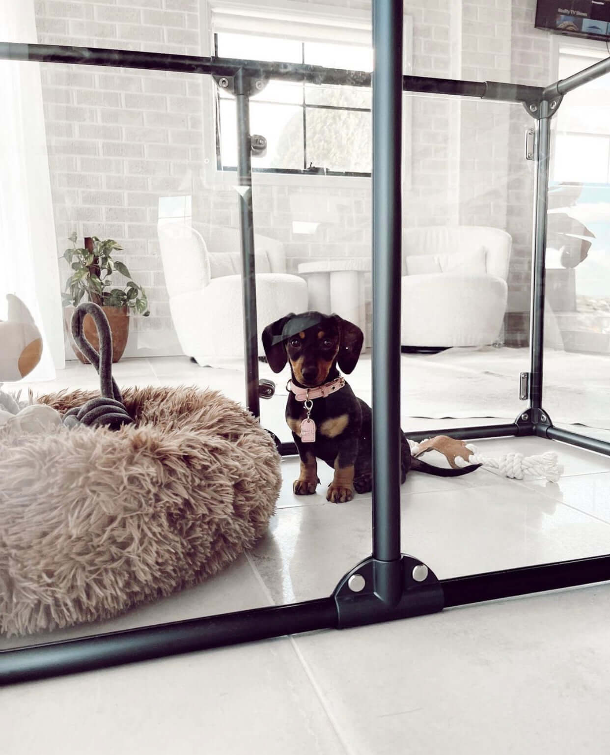 69 cm (27") Tall SMALL Lucidium Pet Pen